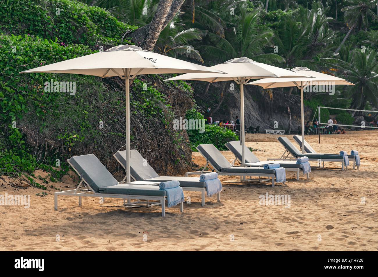 Photo shows Atlantic Ocean beach. Caribbean coastline has yellow sand. Loungers for relaxation and sunbathing are visible. In addition to sun loungers Stock Photo