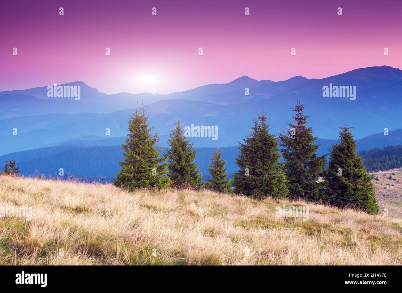 Majestic morning mountain landscape with colorful cloud. Pink sky. Carpathian, Ukraine, Europe. Beauty world. Stock Photo
