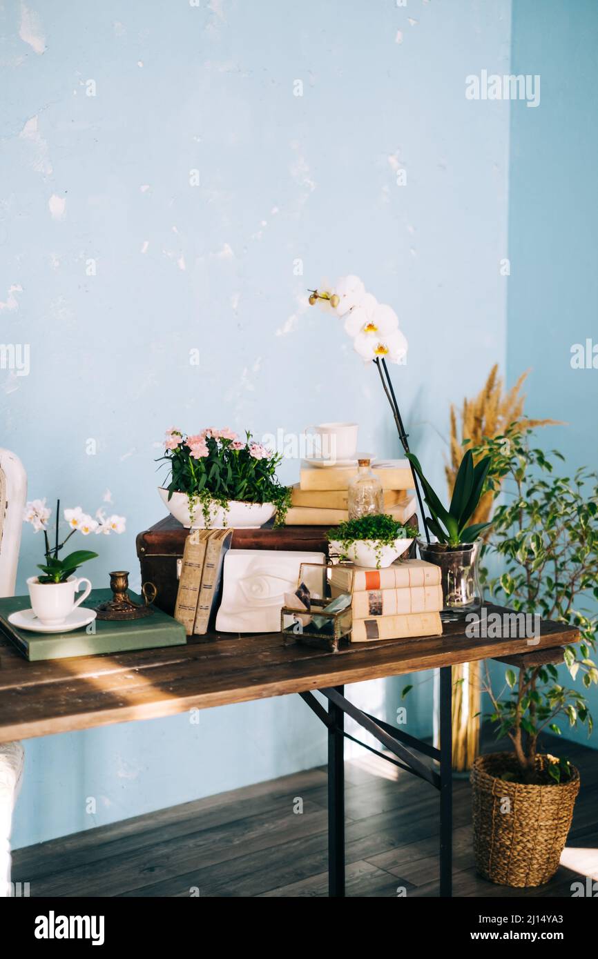 Wooden table in living room with books and houseplants, cozy workplace