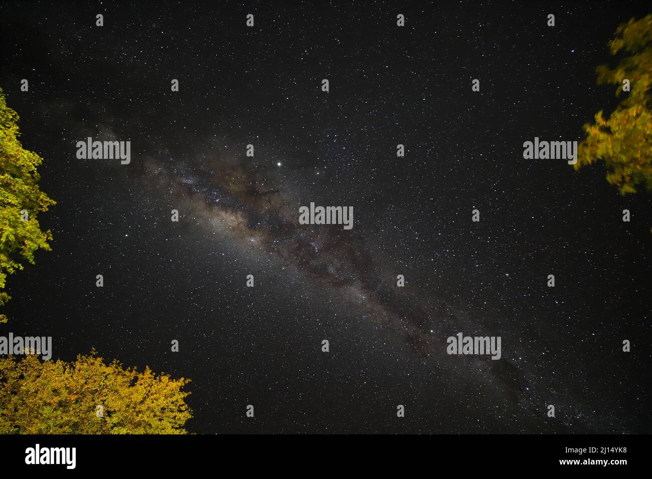 Low angle shot of the milky way in dark night sky with trees Stock ...