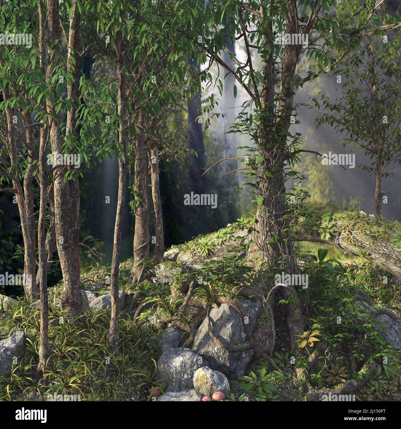 3d render of a deep foliage forest lit with sunbeams Stock Photo - Alamy