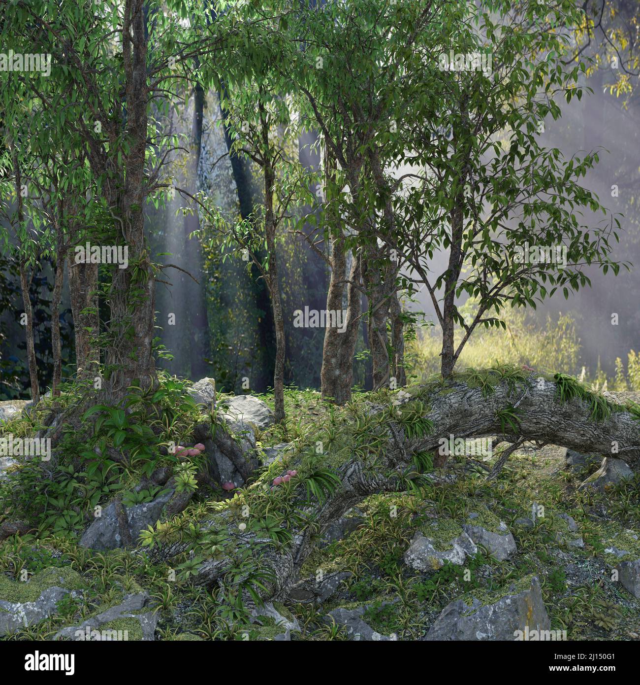 3d render of a deep foliage forest lit with sunbeams Stock Photo - Alamy