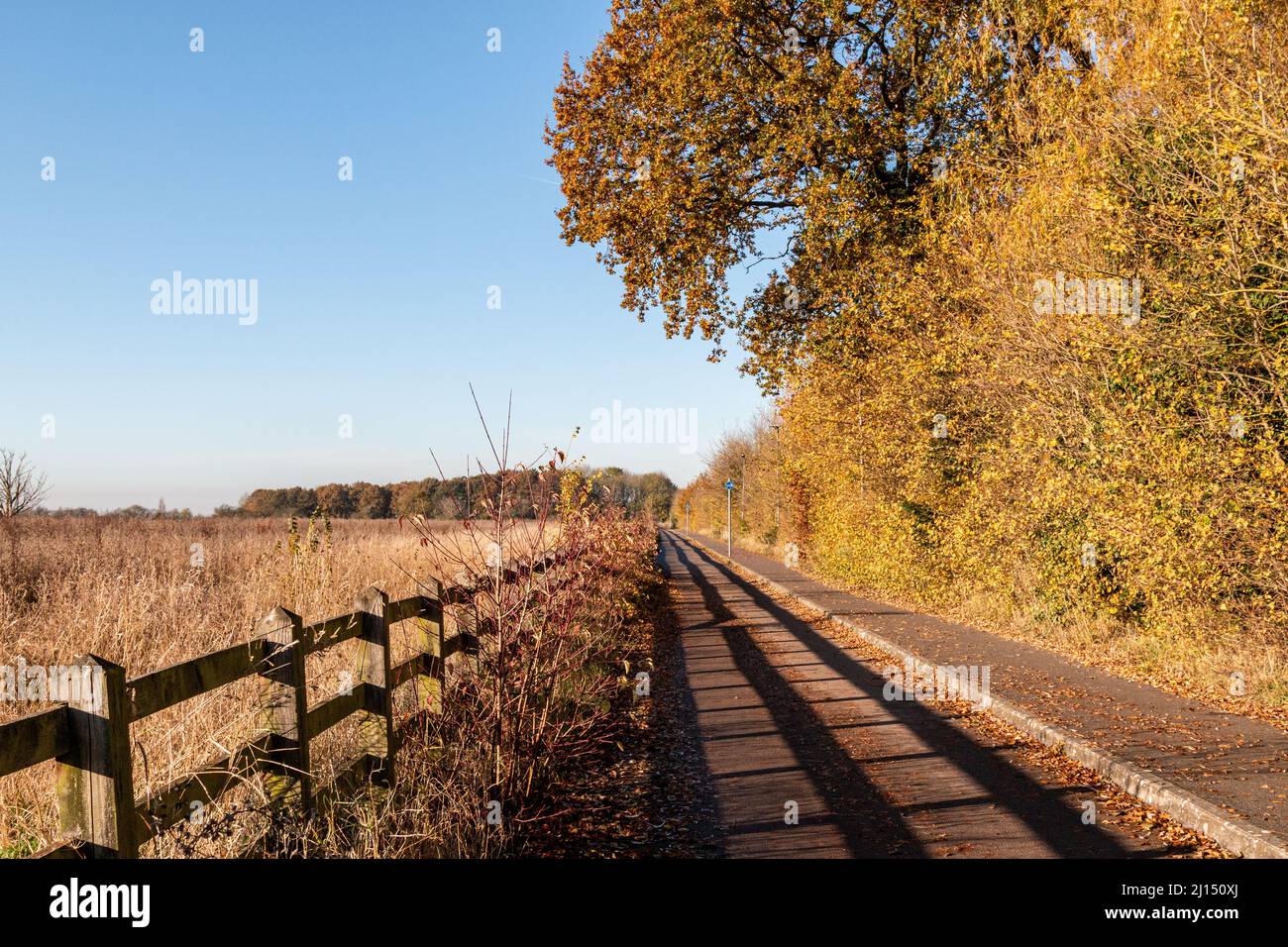 An empty bike path and footpath runs along side a field in Autumn, Cambridge, UK. Stock Photo