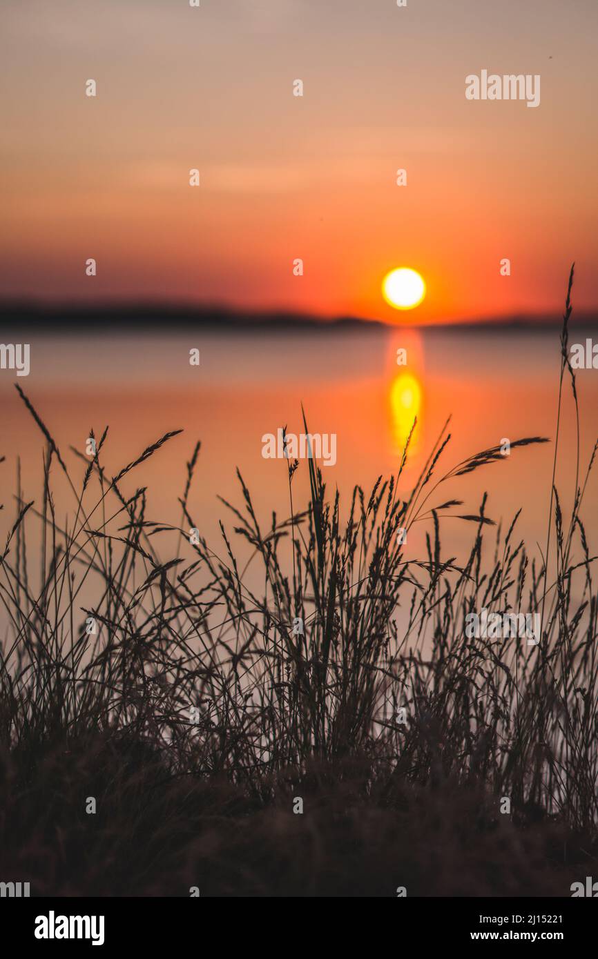 Vertical shot lake fields hi-res stock photography and images - Alamy