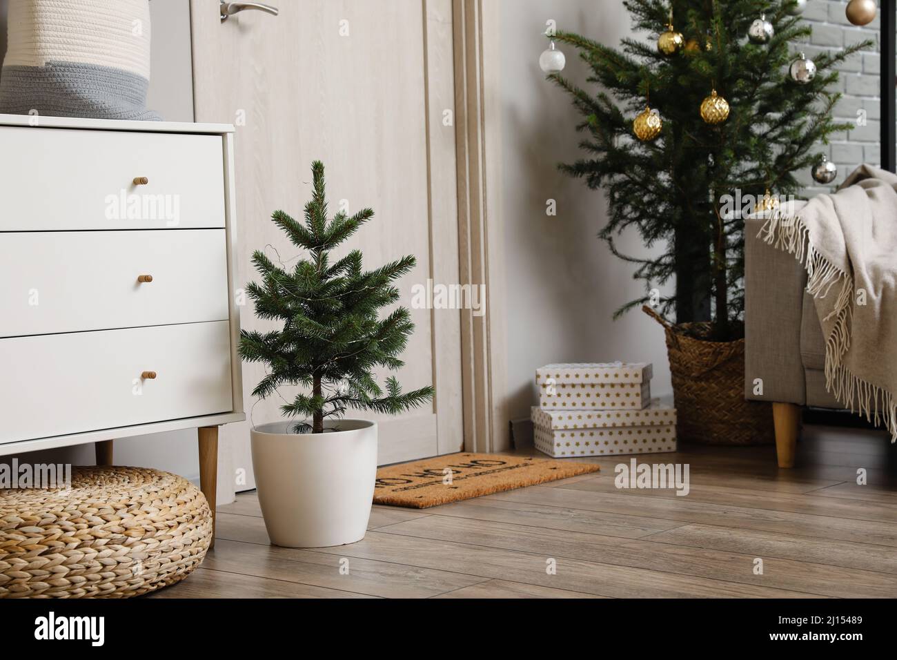 Christmas trees on floor near door in room Stock Photo Alamy