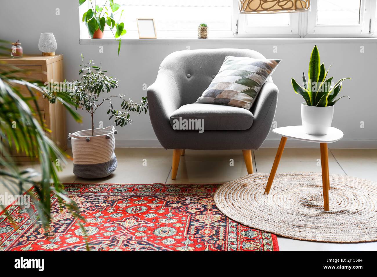 Cozy armchair, table with houseplants and carpet in living room Stock ...