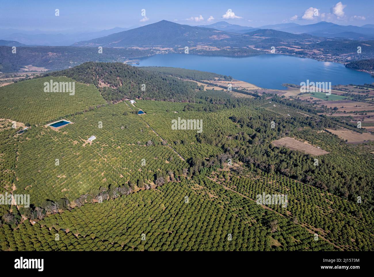 Avocado orchards cover the landscape near Lake Zirahuen, Michoacan, Mexico. Stock Photo