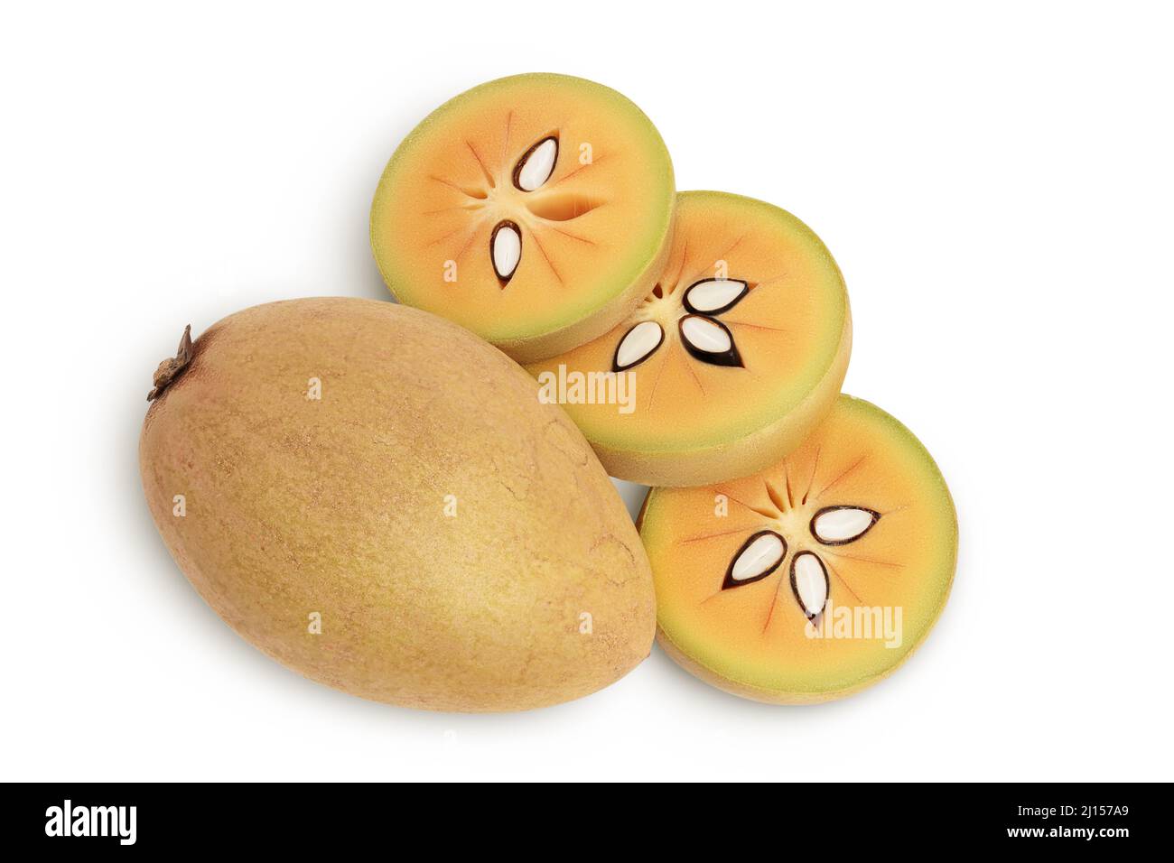Sapodilla isolated on white background with clipping path and full depth of field. Top view. Flat lay Stock Photo