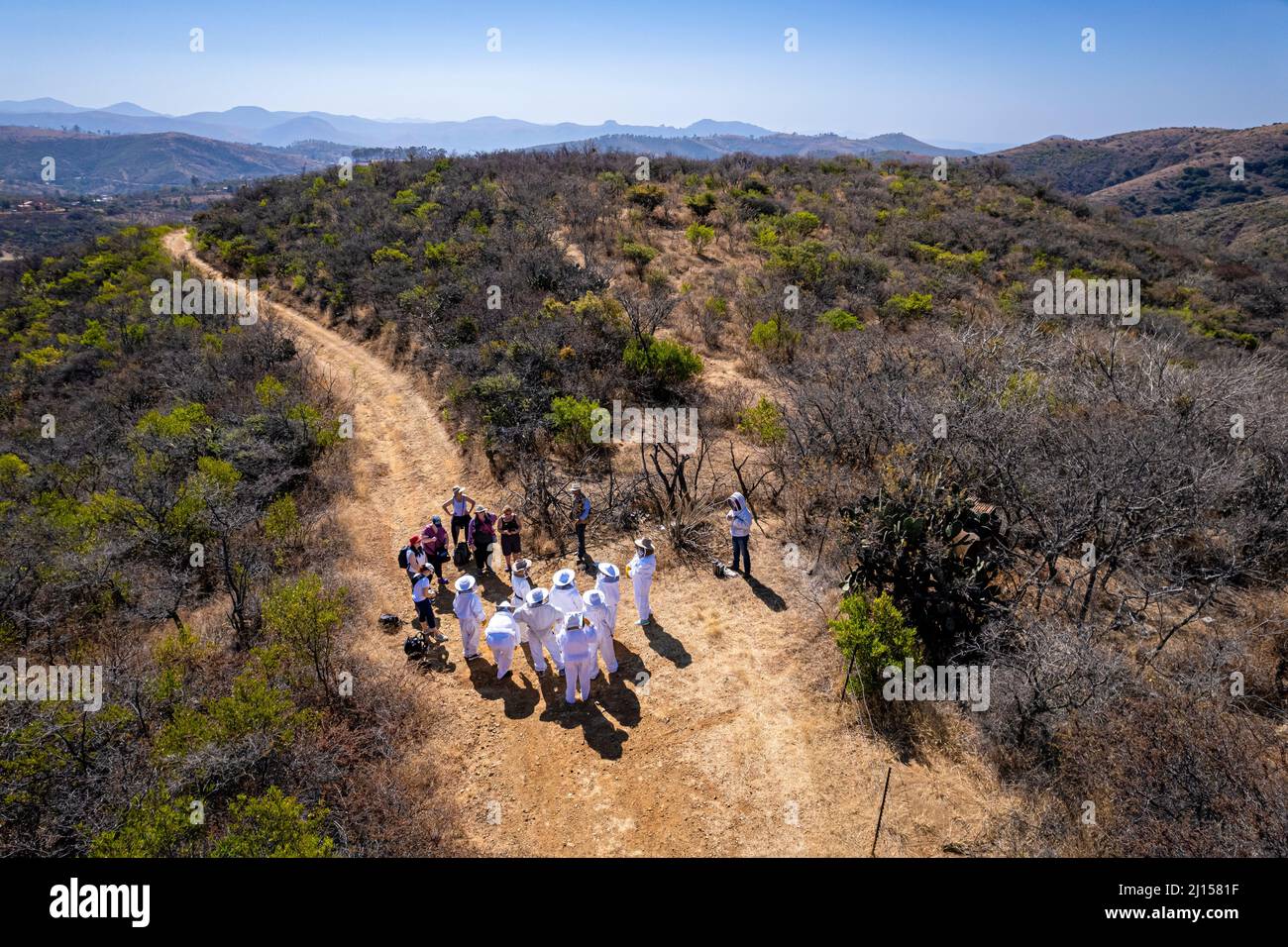 A group receives instructions from beekeeper Andres Hernandez before inspecting the hives in Guanajuato, Mexico. Stock Photo