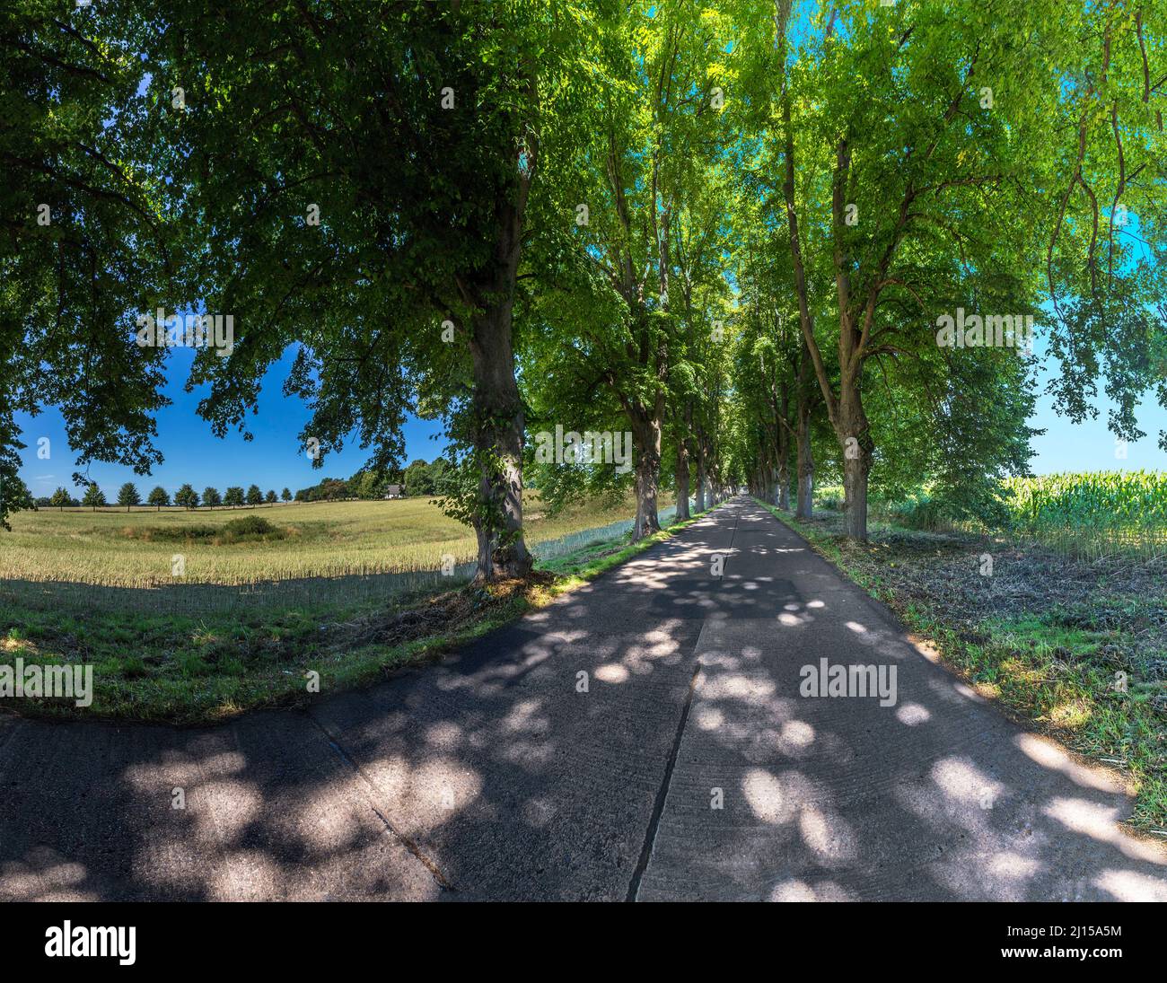 jobangebote usedom
