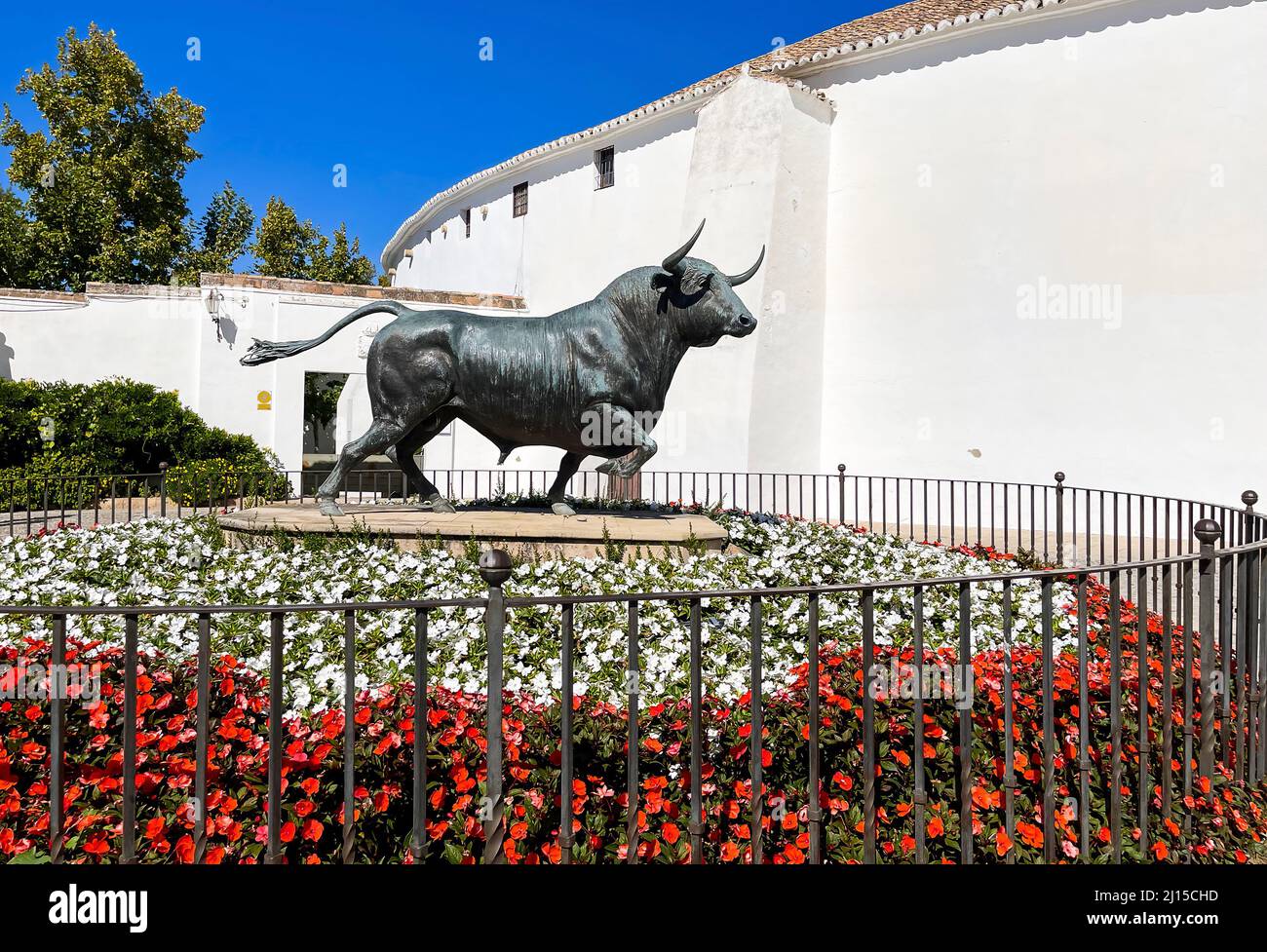 Sculpture of a fighting bull at the Plaza de Toros of Ronda city, in Andalusia, Spain. It's a tribute to the Bull of Lidia, the spanish fighting bull. Stock Photo