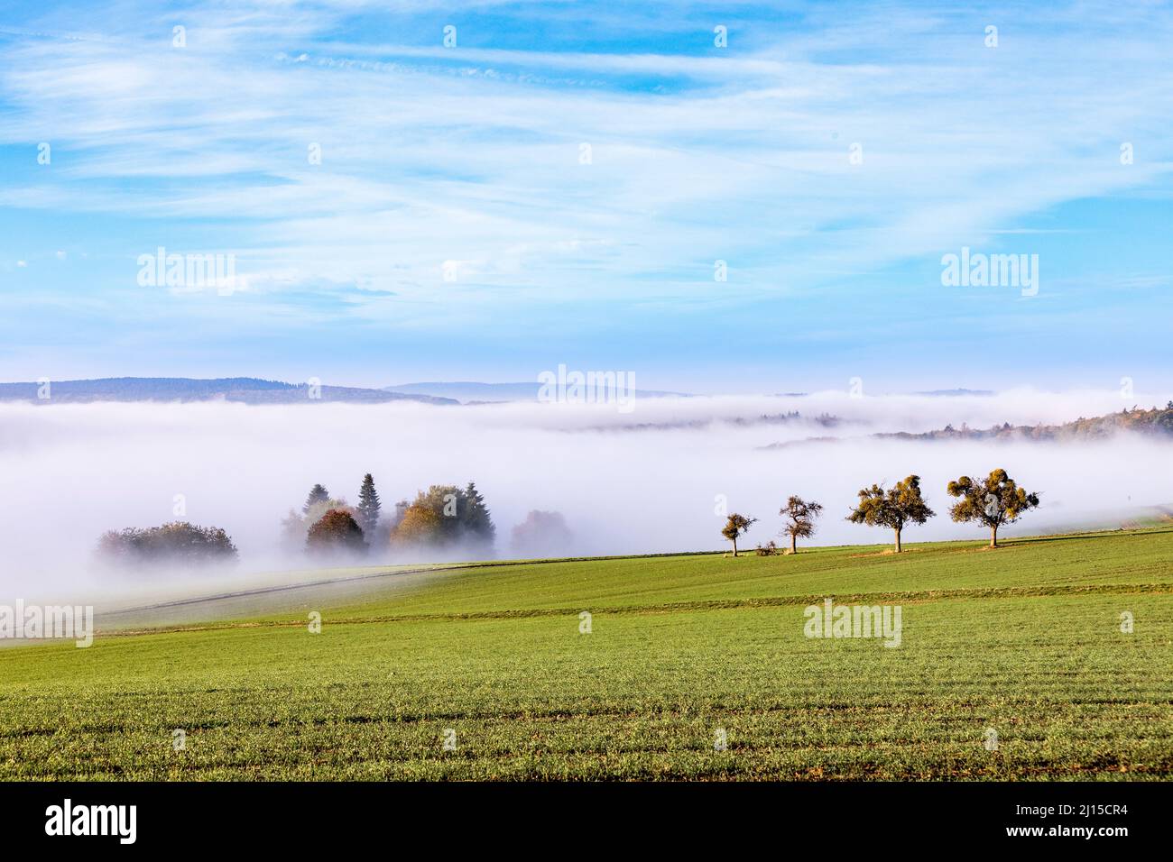 foggy sunrise in the scenic hilly landscape of the Taunus area in Hesse, Germany Stock Photo