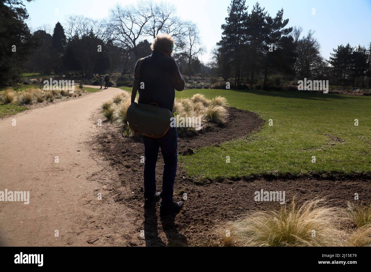 Man Taking Photographs of Mexican Feathergrass at Wisley RHS Garden Surrey England Stock Photo