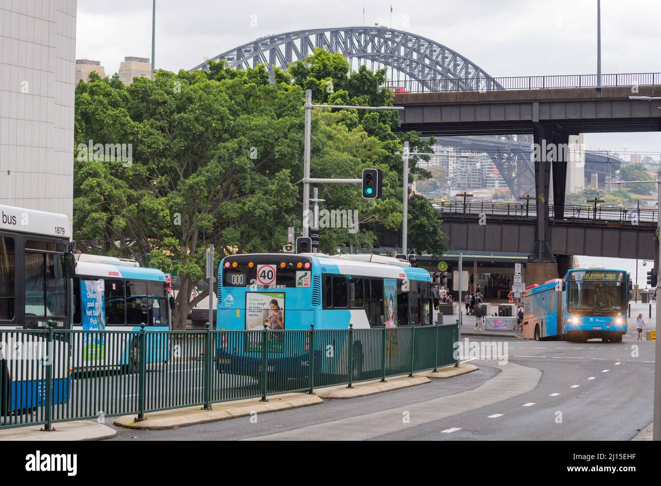 March 19, 2022: Four NSW State Transit Authority buses, all moving in Phillip Street, Sydney. On April 2nd all remaining services will be outsourced. Stock Photo