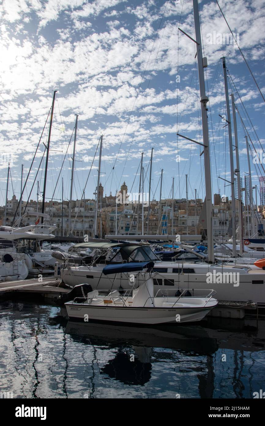 Sailboats line the docks of Brigu's Waterfront, December 3rd, 2019 ...