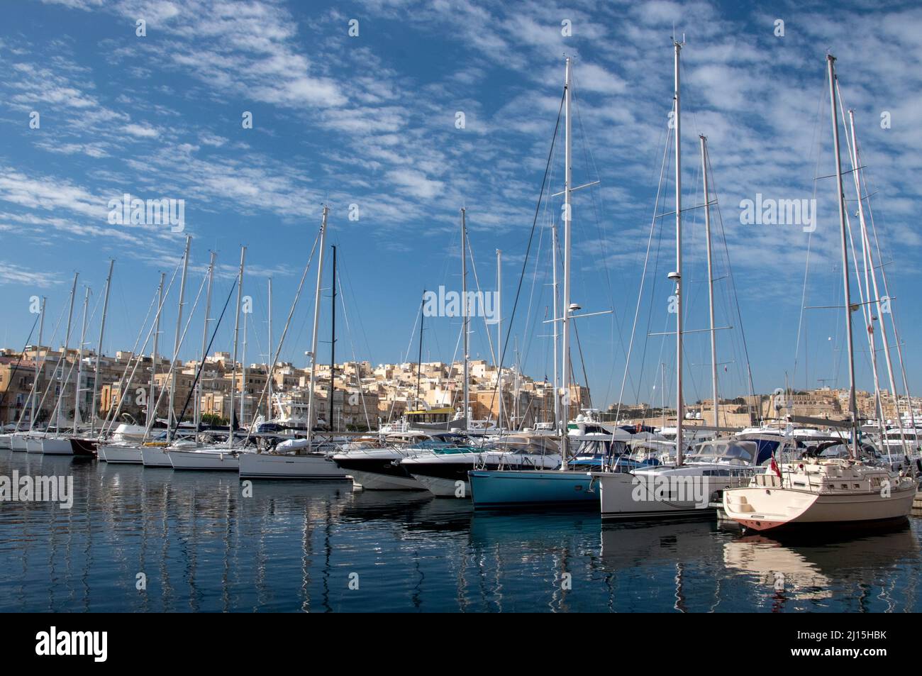 Sailboats line the docks of Brigu's Waterfront, December 3rd, 2019 ...
