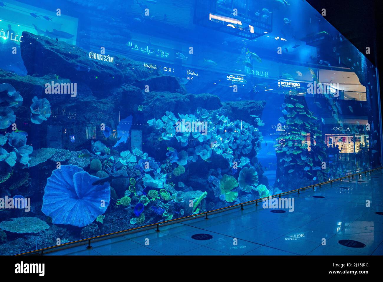 Interior of glass aquarium in worlds largest shopping mall at Dubai Stock Photo Alamy