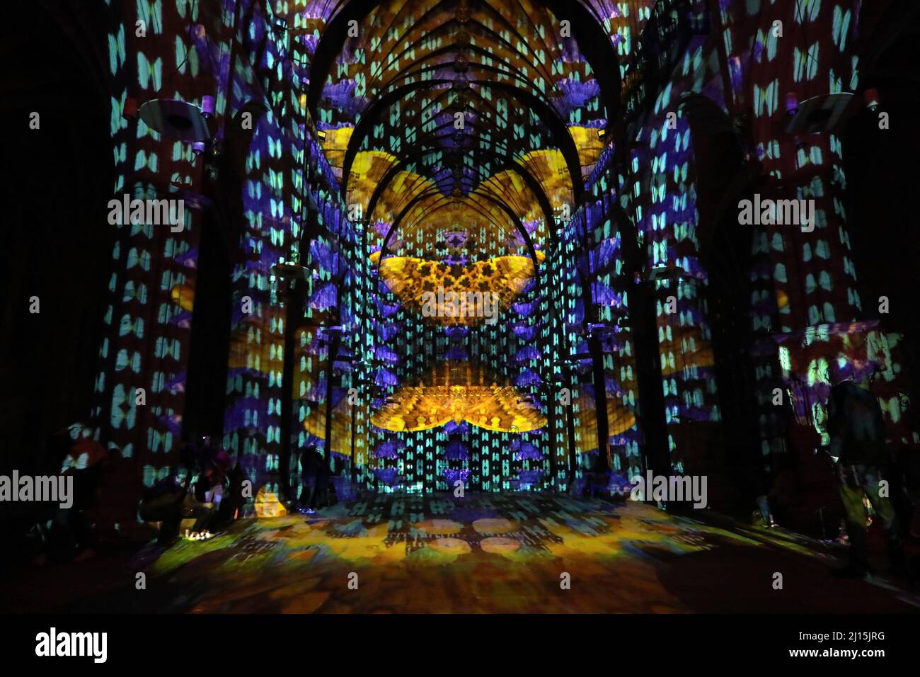 UK, Exeter, Devon, 22nd March, 2022: The first night of the Life: Light and  Sound Experience in Exeter Cathredral this evening. artistic collaboration  Luxmuralis put on a spectacular light show to the