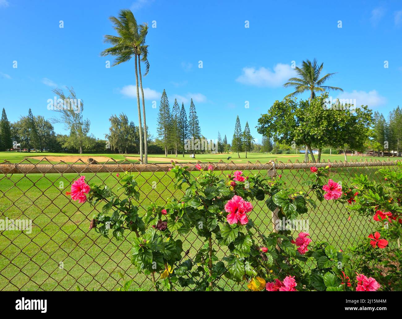 Scenic impressions from the North Shore, Oahu HI Stock Photo