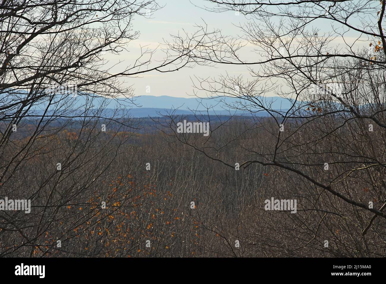 Catskill Point The Catskill mountains as seen from a high point on a trail at Borden's ...