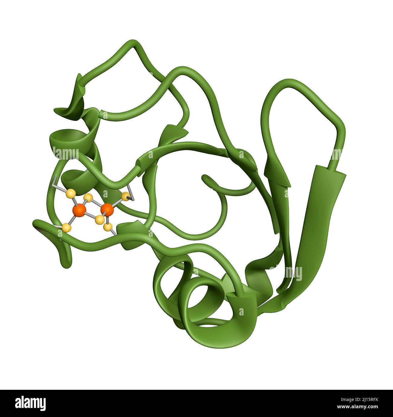 2Fe-2S ferredoxin core, molecular model Stock Photo