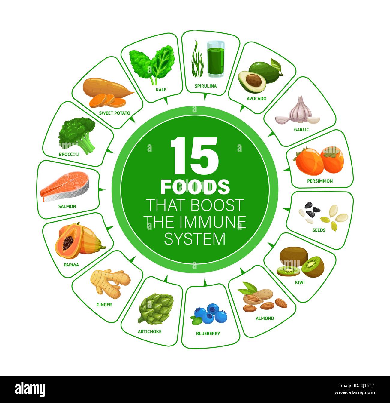 Food boosters of immune system health infographics chart or graph