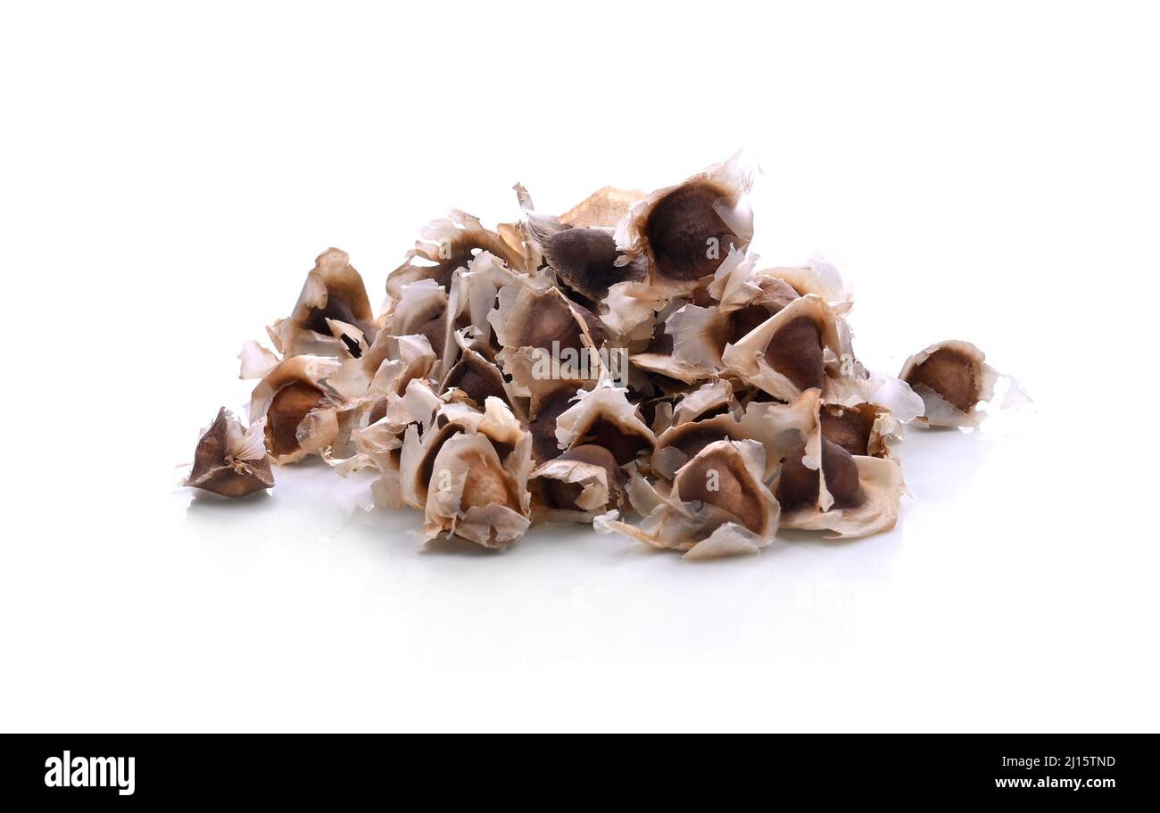 Moringa Oleifera seed dried from Moringa tree on isolated white background Stock Photo
