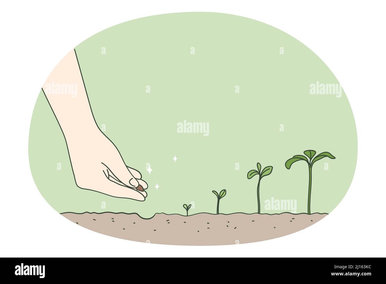Person hand plant seed in ground watch tree development stages. Gardener put seedling in soil ...