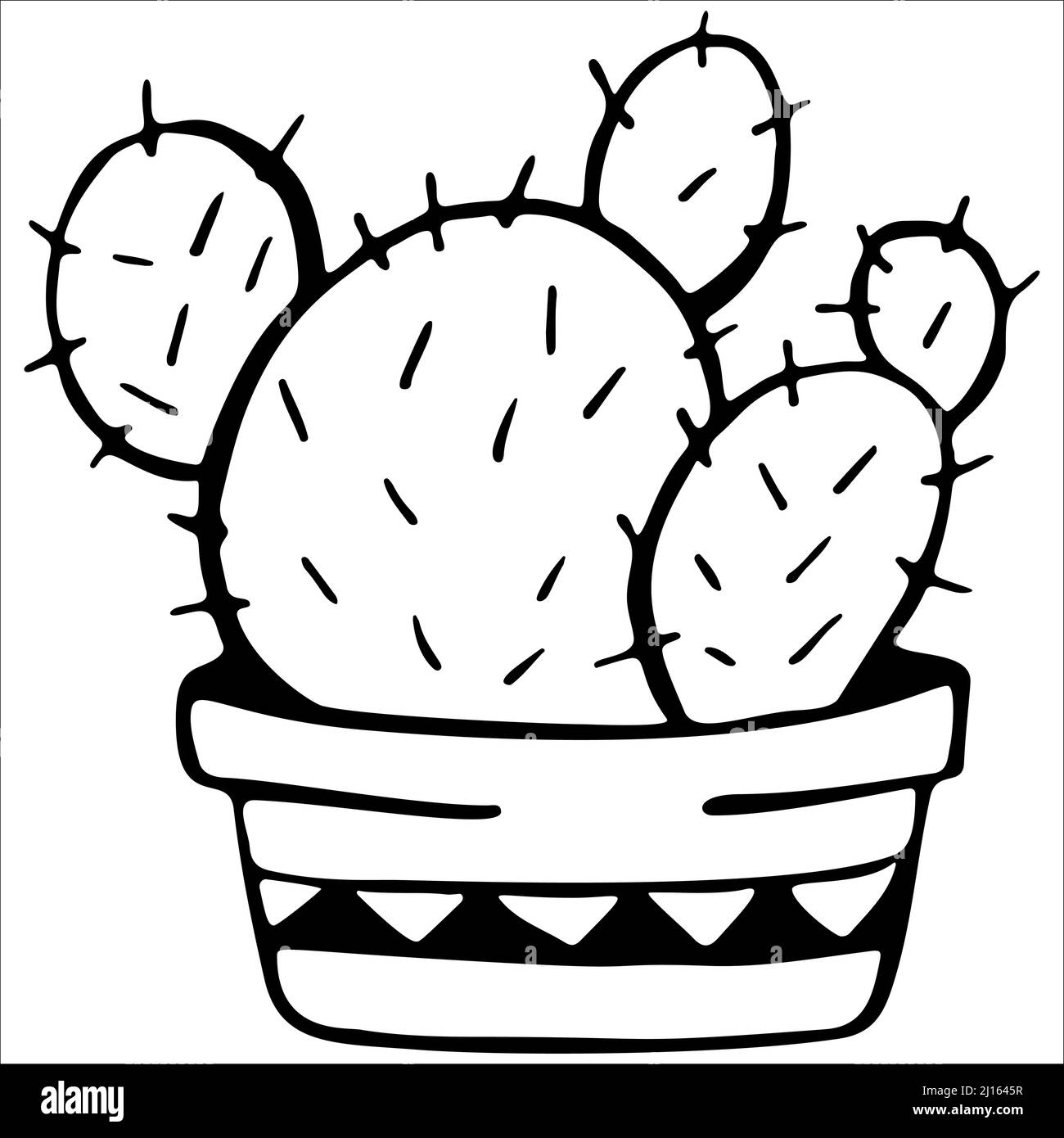 Cute hand drawn vector cactuse in the pot Stock Vector Image & Art - Alamy