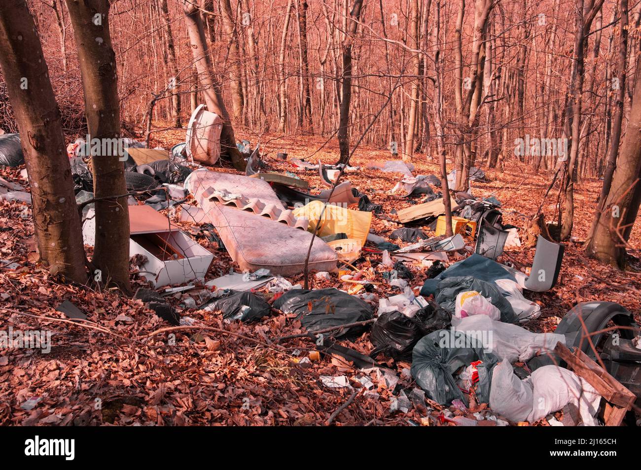 Wild garbage dump in the forest Stock Photo - Alamy