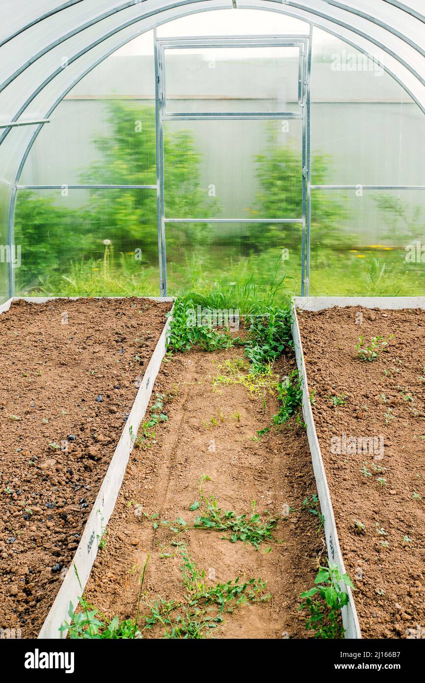 Super Greenhouse! Organic Food, Re-green, Greece Indiegogo