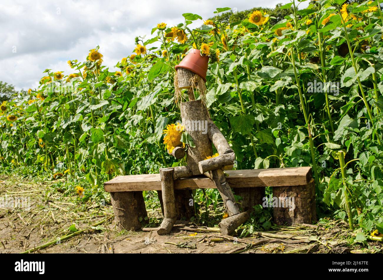 Straw hat on the wooden bench hi-res stock photography and images - Alamy