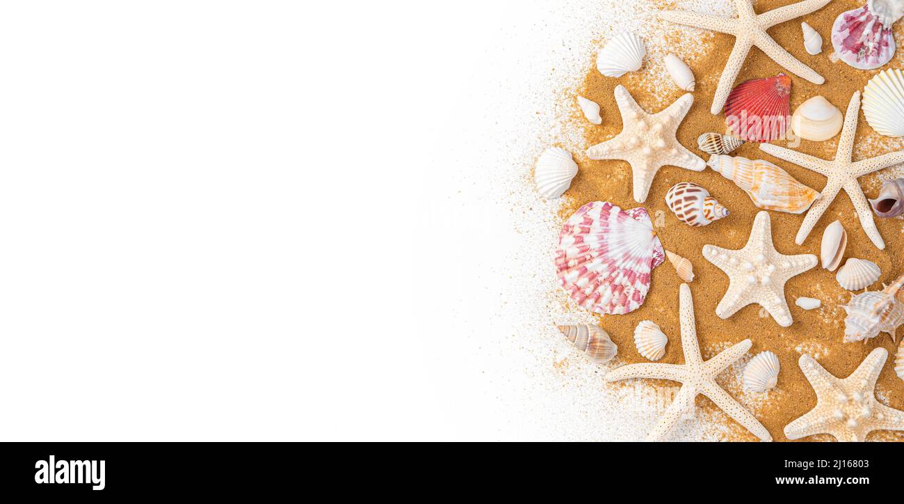 Starfish and seashells on the sand on a white background. The concept of vacation, travel. Top view, panorama. Stock Photo