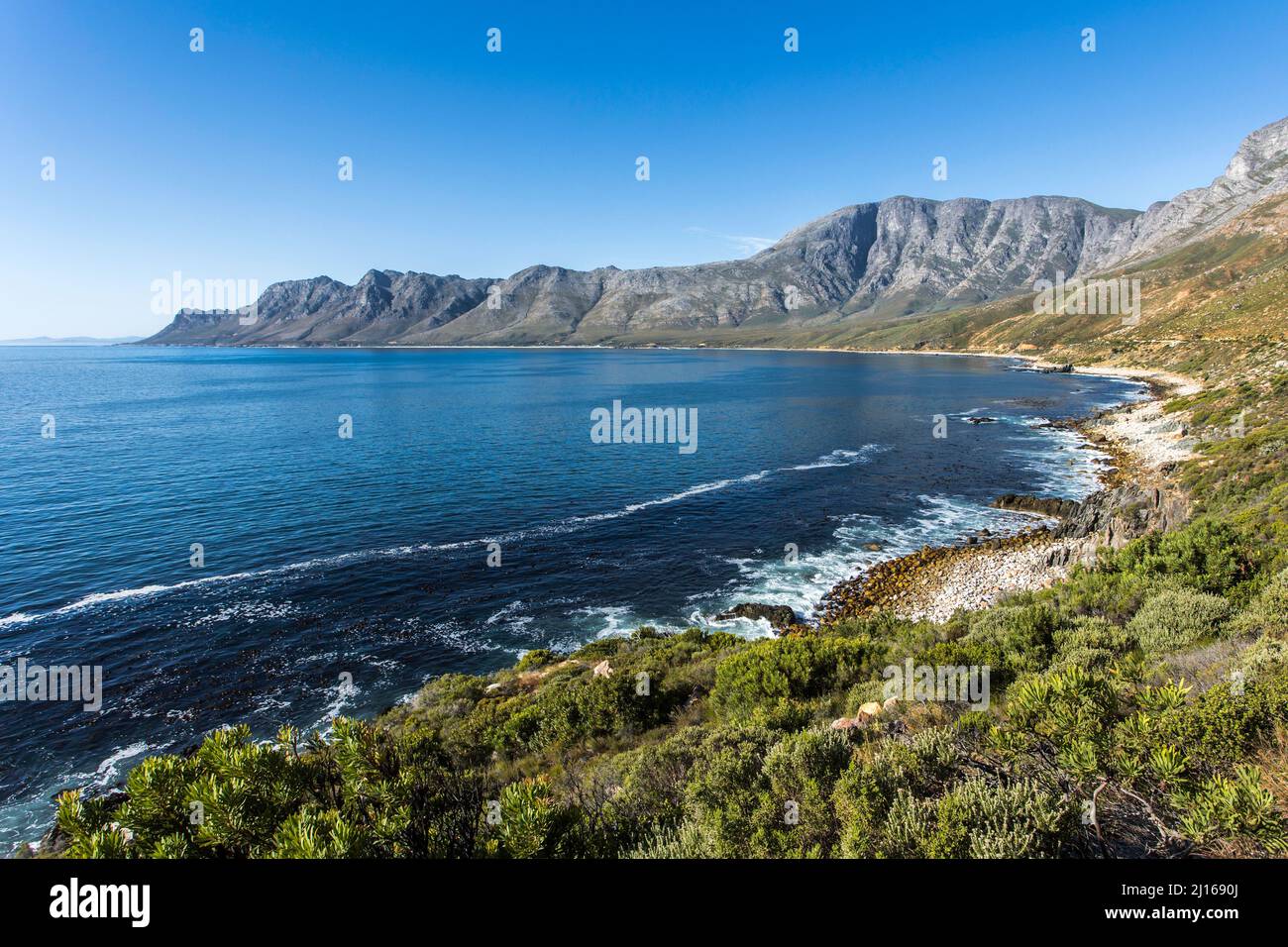Scenic ocean shoreline of a small bay surrounded with mountains and Cape Fynbos plants with a blue sky Stock Photo
