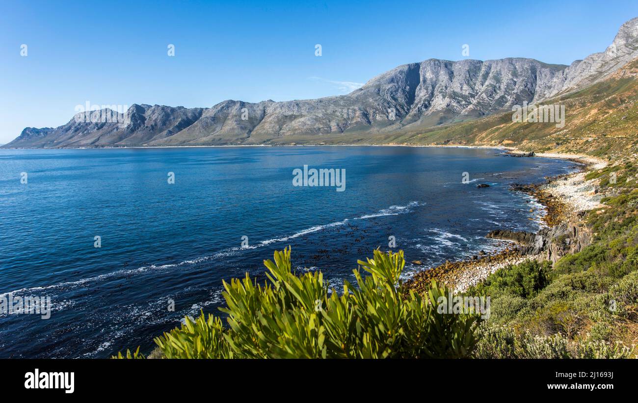 Scenic ocean shoreline of a small bay surrounded with mountains and Cape Fynbos plants with a blue sky Stock Photo