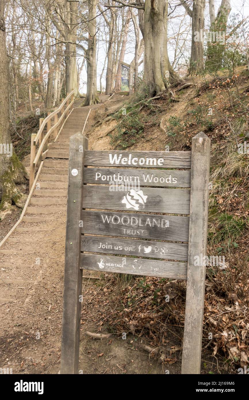Sign, Welcome to Pontburn Woods, and footpath, County Durham, England, UK Stock Photo