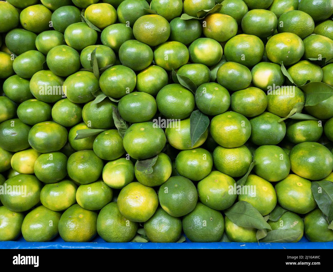 natural tangerines and place in grocery store Stock Photo Alamy