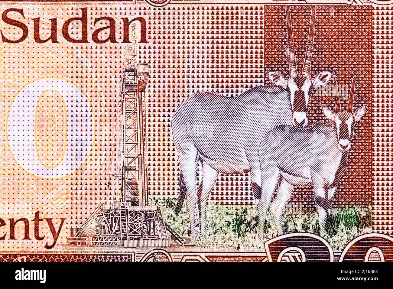 Oryx antelopes and oil derrick from South Sudanese money - pound Stock Photo