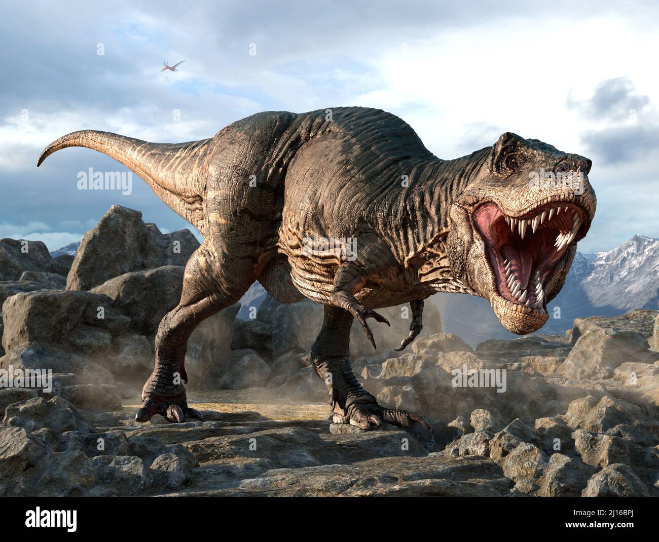 T-Rex dinosaur running in environment with some plants. 3D realistic  illustration Stock Photo - Alamy