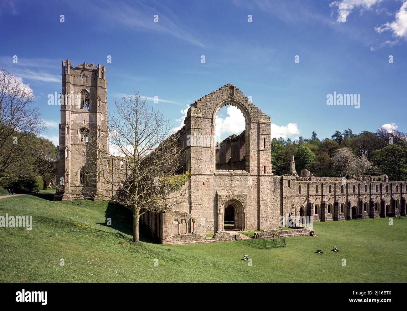 Fountains Abbey (Studley Royal), Blick von Westen auf die Gesamtanlage