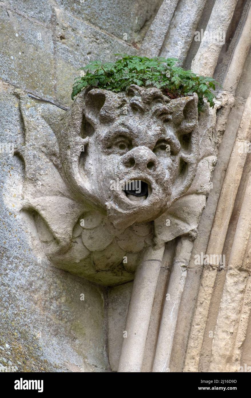 Salisbury, Cathedral, Konsole an der Fassade, Dämon , St., Sankt, Saint Stock Photo