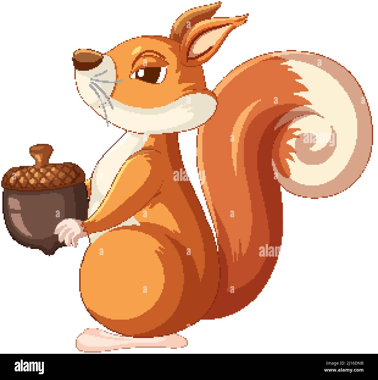 Cute cartoon squirrel holding acorn on white background illustration