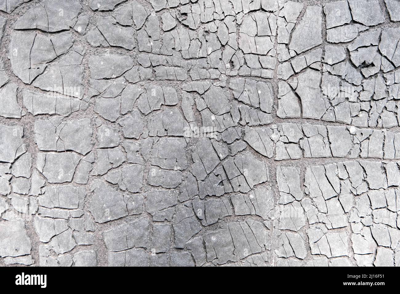 cracked earth cracked or old ruberoid texture. Stock Photo