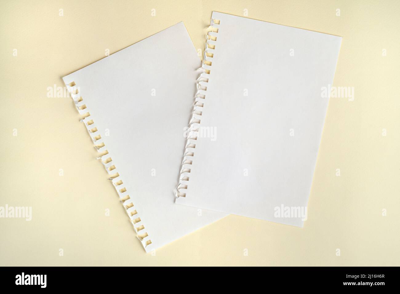 two blank sheets of paper with side perforation on one surface Stock Photo