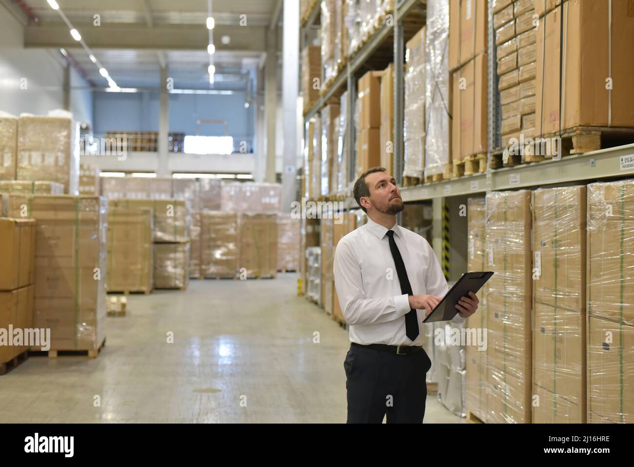 portrait friendly businessman/ manager in suit working in the warehouse of a company - control of inventories Stock Photo