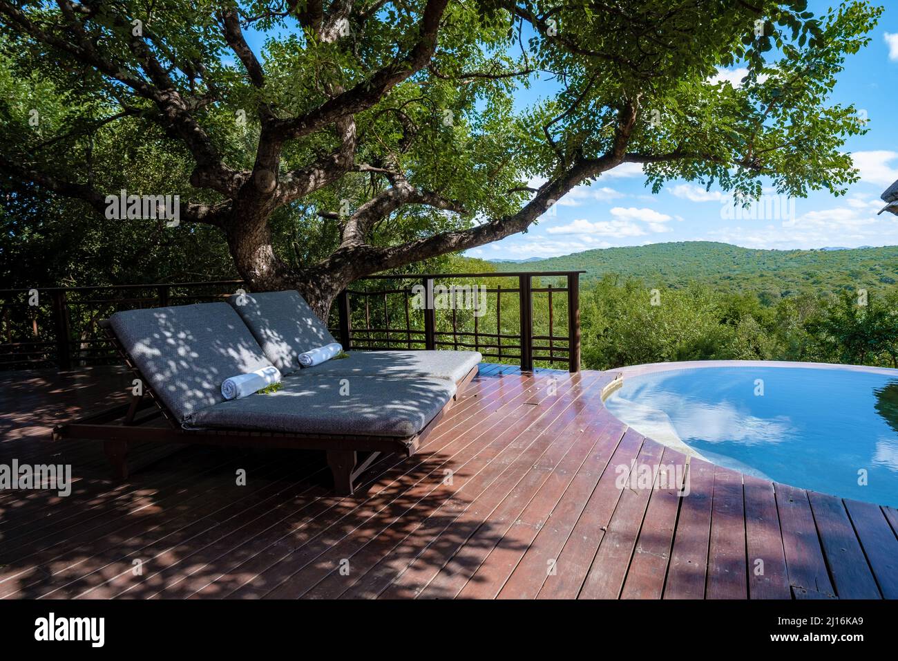 luxury pool, South Africa Kwazulu natal, luxury safari lodge in the ... - Luxury Nature Reserve Apartments With Communal Pool
