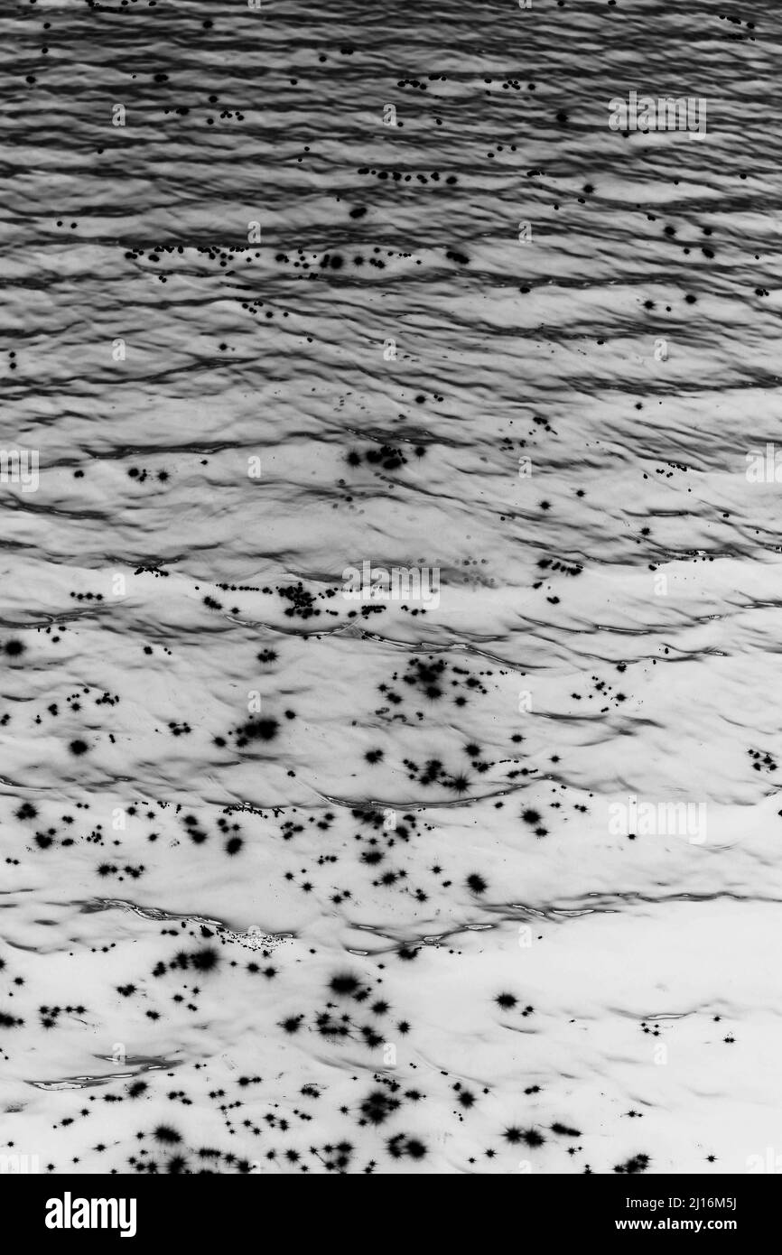 Reflections in lake surface Black and White Stock Photos & Images - Alamy