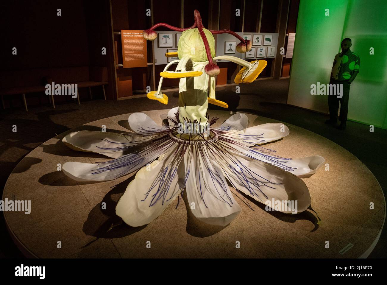 London, UK. 23 March 2022. "The Inner Ocean Passion Flower", 2017, by Ingela Ihrman, a passion