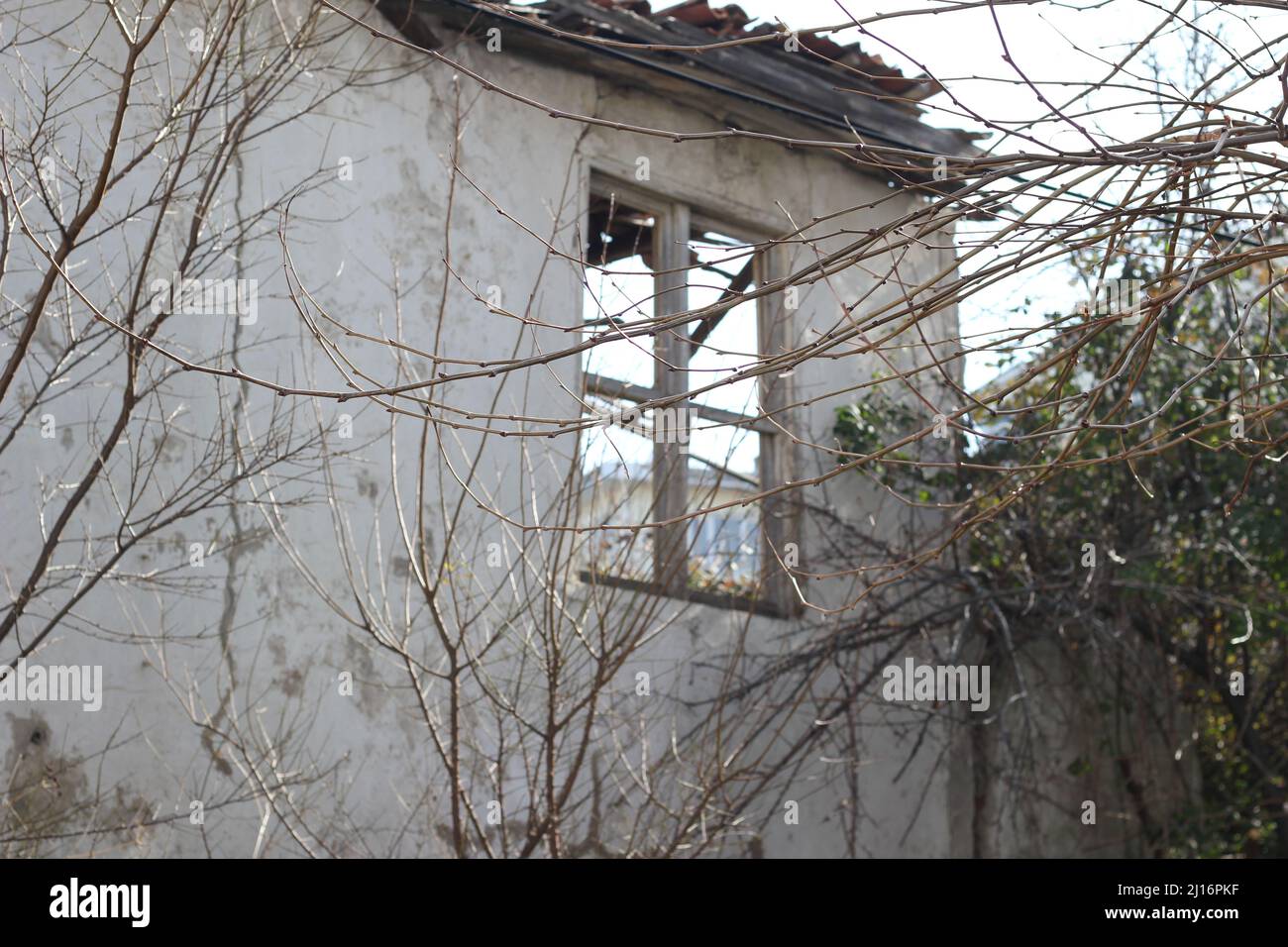 creepy house close up, ruins architecture selective focus, isolated creepy house outdoor photo concept idea Stock Photo