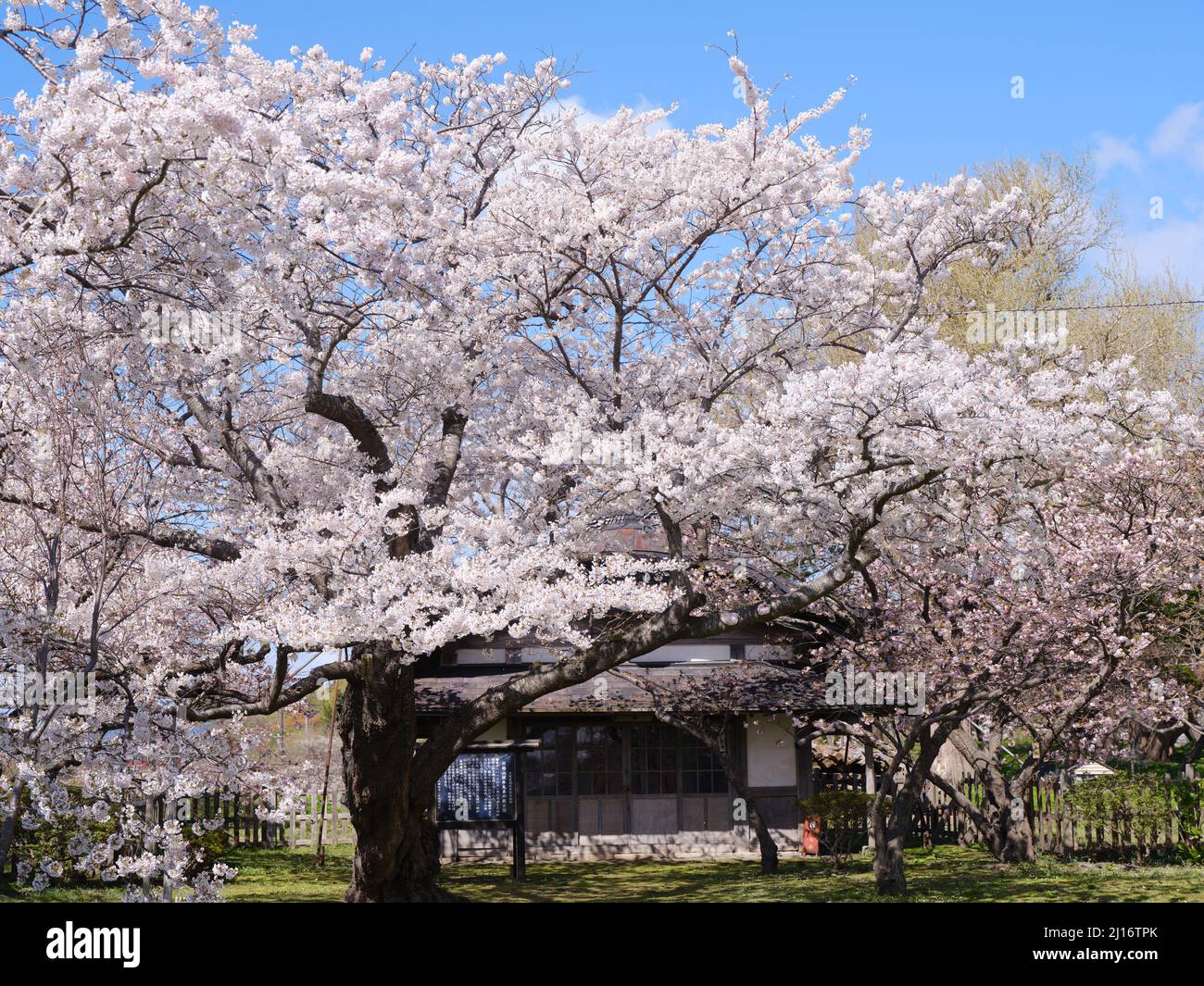 Matsumae town hires stock photography and images Alamy